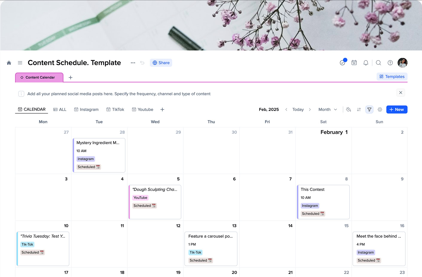 content schedule screen